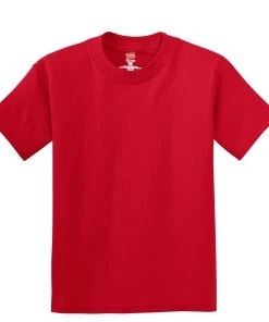 Hanes Youth Authentic T-Shirt 2 Of 2 -Bulkthreads store 114215895