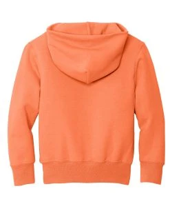 Port & Company Youth Core Fleece Pullover Hooded Sweatshirt. PC90YH 1of2 -Bulkthreads store 119117816