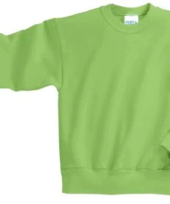 Port & Company Youth Core Fleece Crewneck Sweatshirt PC90Y -Bulkthreads store 119122473