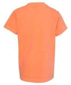 Comfort Colors Garment-Dyed Youth Midweight T-Shirt -Bulkthreads store 134476062.