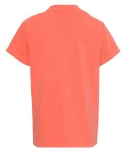 Comfort Colors Garment-Dyed Youth Midweight T-Shirt -Bulkthreads store 134476075.