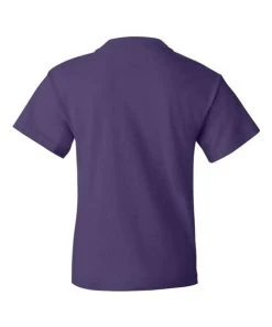 Fruit Of The Loom HD Cotton Youth Short Sleeve T-Shirt -Bulkthreads store 134476303.