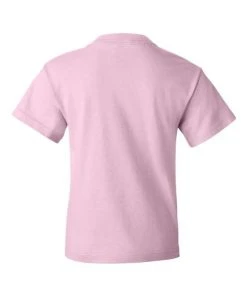 Fruit Of The Loom HD Cotton Youth Short Sleeve T-Shirt -Bulkthreads store 134476314.