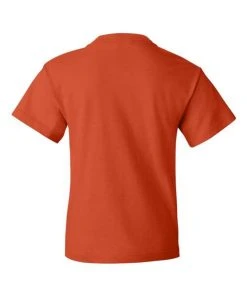 Fruit Of The Loom HD Cotton Youth Short Sleeve T-Shirt -Bulkthreads store 134476377.