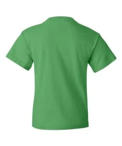 Fruit Of The Loom HD Cotton Youth Short Sleeve T-Shirt -Bulkthreads store 134476483.