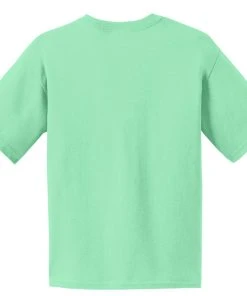 Gildan Youth 100% US Cotton T-Shirt. 2000B 1 Of 2 -Bulkthreads store 134478240.