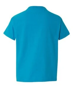 Gildan Softstyle® Youth T-Shirt -Bulkthreads store 134479823.