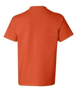 Hanes Youth Authentic T-Shirt 1 Of 2 -Bulkthreads store 134480341.