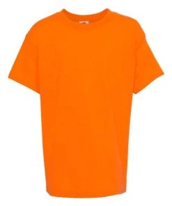 Hanes Youth Ecosmart T-Shirt -Bulkthreads store 134481547.