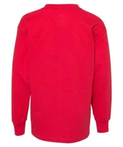 Hanes Authentic Youth Long Sleeve T-Shirt -Bulkthreads store 134482686.