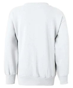 Hanes Youth Ecosmart® Crewneck Sweatshirt 38 Hanes Youth Ecosmart® Crewneck Sweatshirt -Bulkthreads store 134504168.