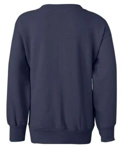 Hanes Youth Ecosmart® Crewneck Sweatshirt 32 Hanes Youth Ecosmart® Crewneck Sweatshirt -Bulkthreads store 134504172.