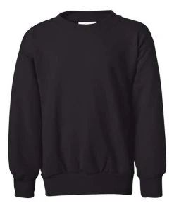 Hanes Youth Ecosmart® Crewneck Sweatshirt 39 Hanes Youth Ecosmart® Crewneck Sweatshirt -Bulkthreads store 134504215.