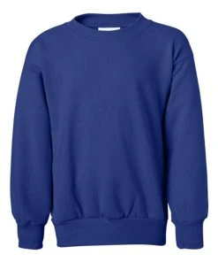 Hanes Youth Ecosmart® Crewneck Sweatshirt 27 Hanes Youth Ecosmart® Crewneck Sweatshirt -Bulkthreads store 134504306.