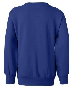 Hanes Youth Ecosmart® Crewneck Sweatshirt 29 Hanes Youth Ecosmart® Crewneck Sweatshirt -Bulkthreads store 134504309.