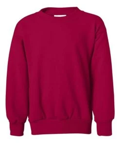 Hanes Youth Ecosmart® Crewneck Sweatshirt 42 Hanes Youth Ecosmart® Crewneck Sweatshirt -Bulkthreads store 134504351.