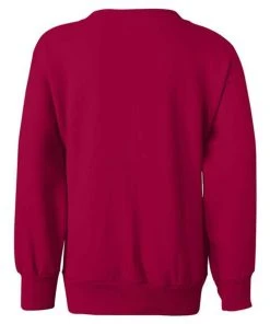 Hanes Youth Ecosmart® Crewneck Sweatshirt 44 Hanes Youth Ecosmart® Crewneck Sweatshirt -Bulkthreads store 134504353.