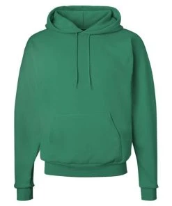 Hanes Men's Ecosmart Hooded Sweatshirt 1 Of 2 -Bulkthreads store 134508582.