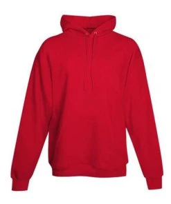 Hanes Men's Ecosmart Hooded Sweatshirt 1 Of 2 -Bulkthreads store 134508743.