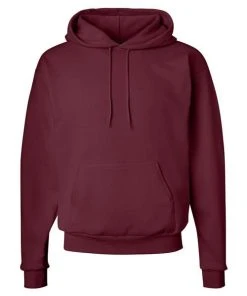 Hanes Men's Ecosmart Hooded Sweatshirt 1 Of 2 -Bulkthreads store 134509063.