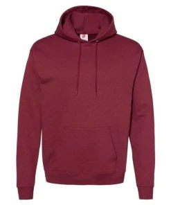Hanes Men's Ecosmart Hooded Sweatshirt 1 Of 2 -Bulkthreads store 134565145.