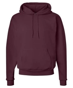 Hanes Men's Ecosmart Hooded Sweatshirt 1 Of 2 -Bulkthreads store 134565222.