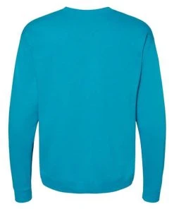 Hanes Men's EcosmartÂ® Crewneck Sweatshirt -Bulkthreads store 134588229.