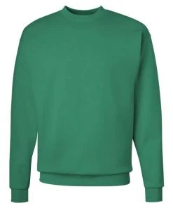 Hanes Men's EcosmartÂ® Crewneck Sweatshirt -Bulkthreads store 134588321.
