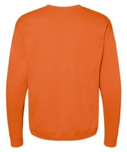 Hanes Men's EcosmartÂ® Crewneck Sweatshirt -Bulkthreads store 134588967.