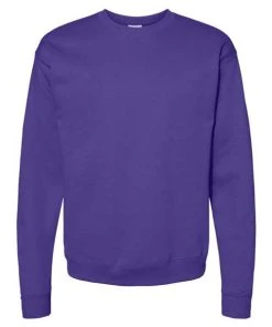 Hanes Men's EcosmartÂ® Crewneck Sweatshirt -Bulkthreads store 134588980.