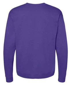 Hanes Men's EcosmartÂ® Crewneck Sweatshirt -Bulkthreads store 134588981.