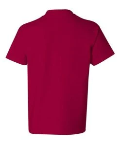 Hanes Youth Authentic T-Shirt 2 Of 2 -Bulkthreads store 137421899