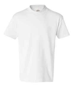 Hanes Youth Authentic T-Shirt 2 Of 2 -Bulkthreads store 137422300