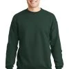 Hanes Men's - EcoSmart Crewneck Sweatshirt. P160
