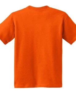 Hanes Youth Ecosmart T-Shirt -Bulkthreads store 85041911