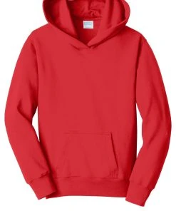 Port & Company Youth Fan Favorite Fleece Pullover Hooded Sweatshirt PC850YH -Bulkthreads store 85163425