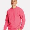 Hanes Men's EcosmartÂ® Crewneck Sweatshirt
