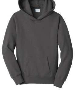 Port & Company Youth Fan Favorite Fleece Pullover Hooded Sweatshirt PC850YH -Bulkthreads store 89183319